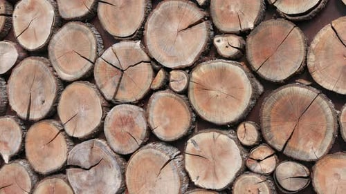 Natural Stacked Wood Logs Wall Panning Background