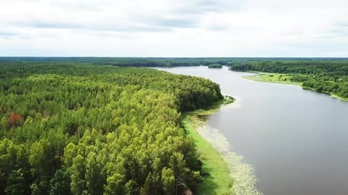 Beautiful Summer Landscape Of Lake Medesno