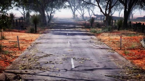 A Peaceful Rural Road Enveloped By a Lush Forest Scenery