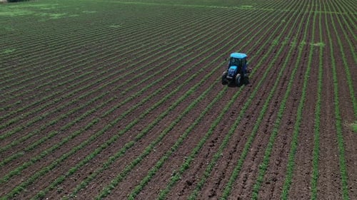 Agriculture field with tractor.