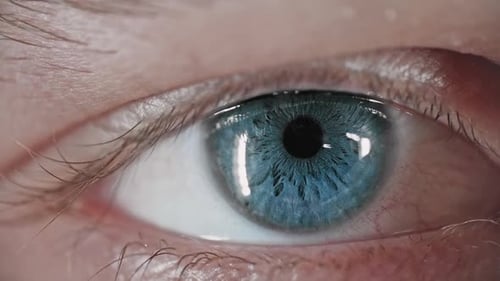Striking Blue Human Eye Opening in Extreme Close-Up