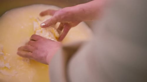 production of dairy cheeses the cheesemaker takes white mozzarella from a metal vat
