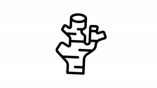 ginger line icon animation