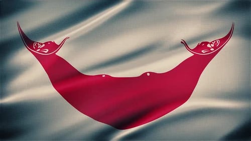 Realistic Easter Island Rapa Nui Flag Waving Animation