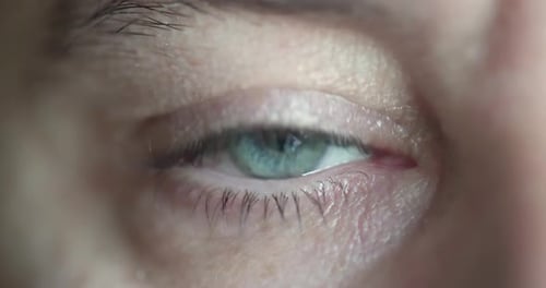 Close Up Macro Shallow Depth of Field Shot of Human Male Eye