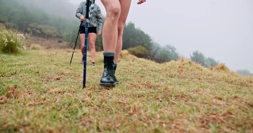 Hikers on a Grassy Mountain Trail