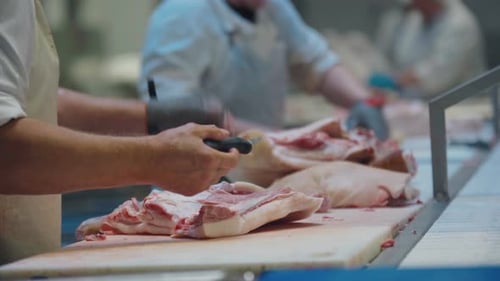 Meat Processing Workers Cutting Raw Pork on Conveyor Belt
