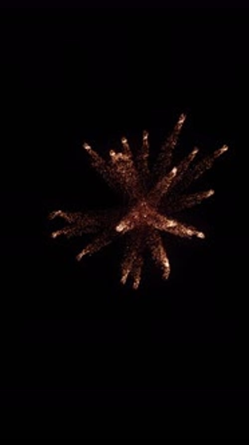 Elegant Golden Particle Burst Reveal