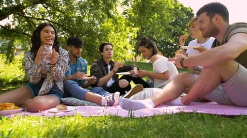 Group of Friends Enjoying Picnic Outdoors