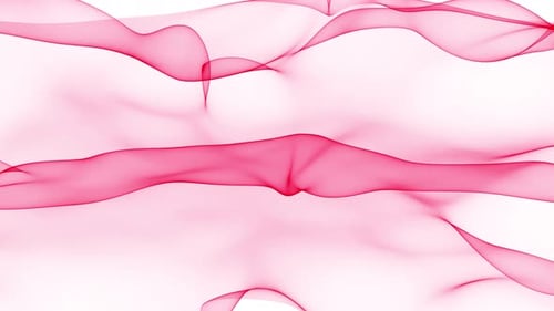 Digital Pink Colorful Gradient Particle Line Wave Animation with White Background