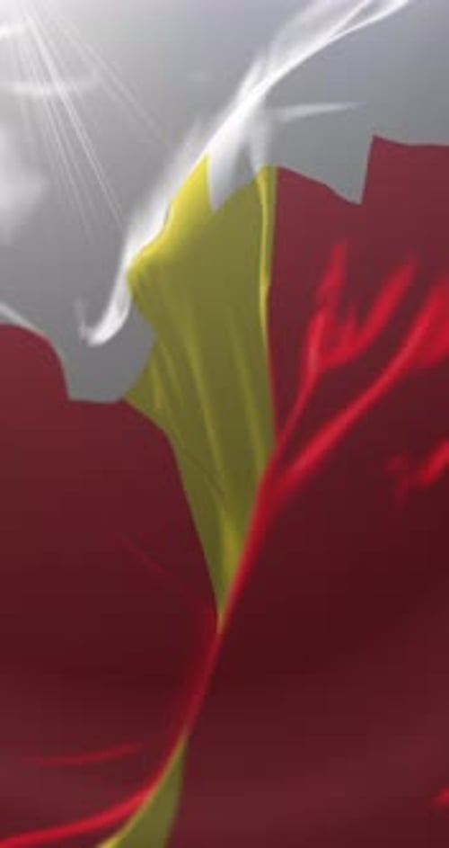 Waving Flag Vertical Background with Realistic Fabric Motion