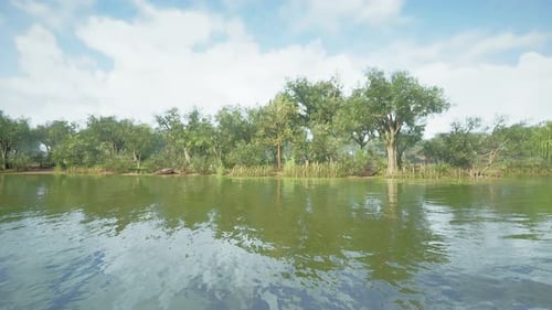 Beautiful Colorful Summer Spring Natural Landscape with a Lake in Park