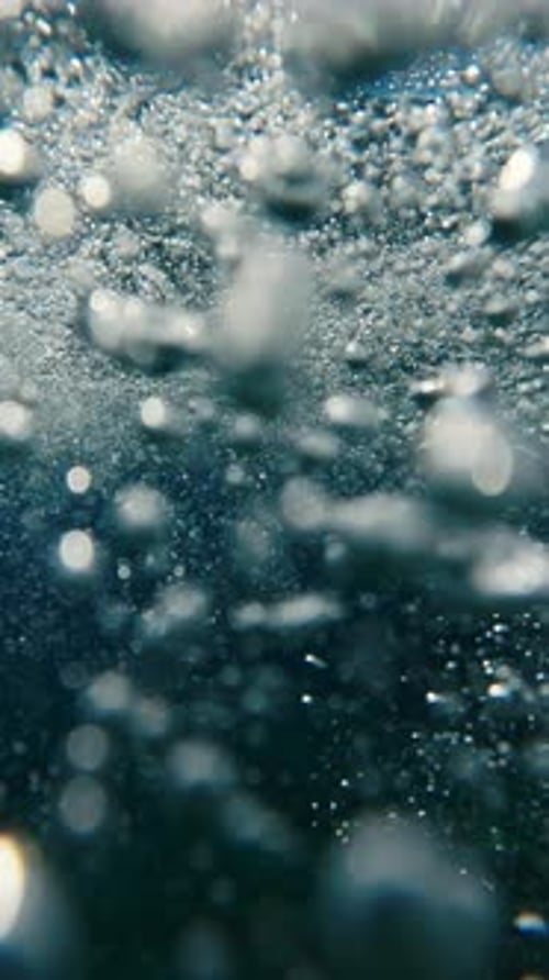Underwater View of Bubbles Rising to the Surface