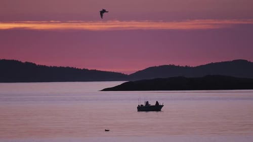 Peaceful Ocean View with Boat at Sunset