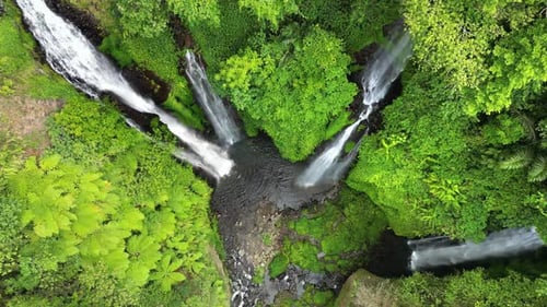 Aerial drone view of multiple cascades at Sekumpul Waterfall in North Bali, Indonesia. Tall white st