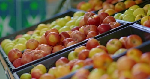 Ripe Apples on Counter in Food Market Closeup View Buying Organic Fruits Prores