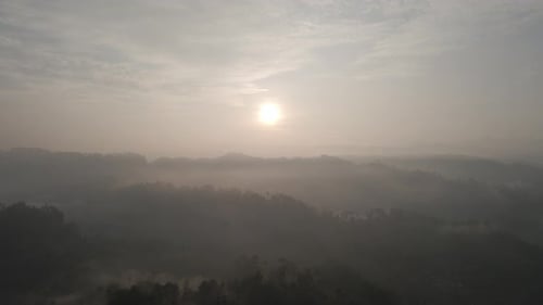 Aerial Foggy green forest with canopies of spruce trees and sunrise rays shining through branches in
