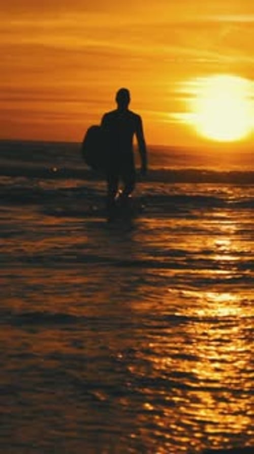 Lone Surfer Walking in Ocean at Golden Sunset