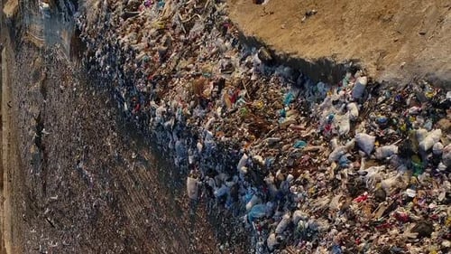 Vertical Video The Birds Fly Over the Heap of Garbage The Landfill
