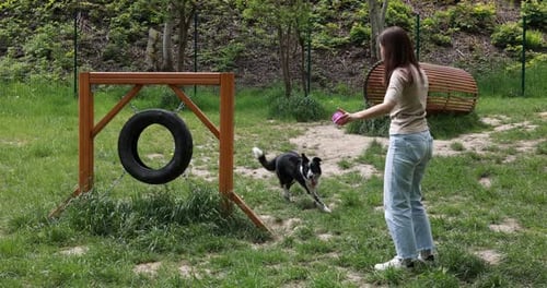 Frau trainiert ihren Hund auf Agility-Hindernissen im Park