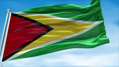 Guyana National Flag Waving in Realistic Style