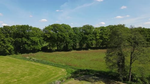 Aerial View of Green Fields and Trees
