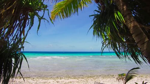 Travel, Seascape And Nature Concept - Tropical Beach With Coconut Trees In French Polynesia