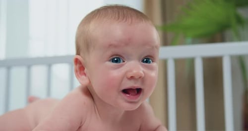 Close Up. Beautiful blue eyed infant baby portrait lies on his stomach on the couch playing and look