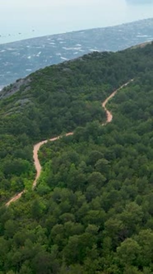 Vertical Video Aerial View of Verdant Forest Cinematic Delight for Nature Explorers
