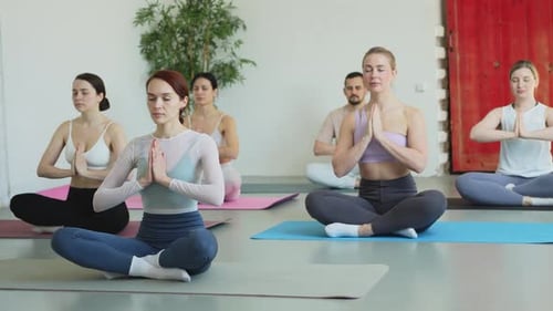 Yoga Mindfulness Meditation Group of Sporty People Doing Exercise in Studio for Class for Yoga