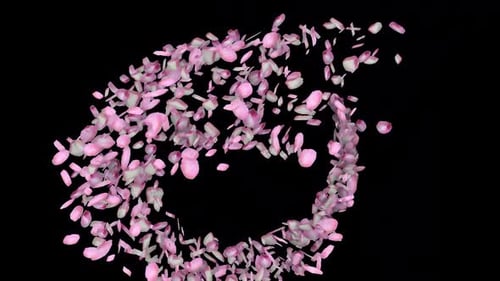 Pink Petal Heart Reveal Elegant Transition