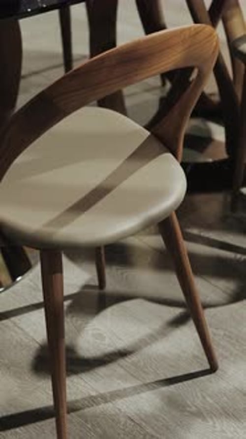 Modern Wooden Chair in Dining Room