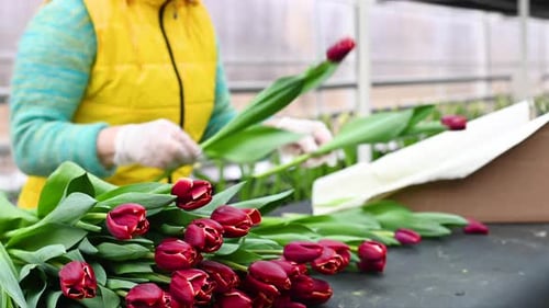 Un vendeur de fleurs ou un fleuriste collecte des arrangements floraux sur fond de bouquets de tulipes