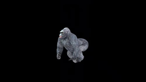 Gorilla Run 2