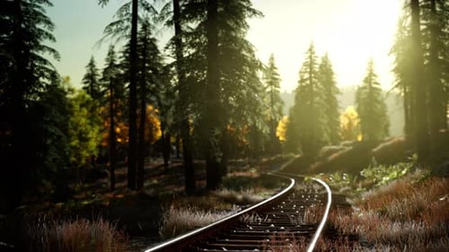 Animated Curved Railroad Track Through Sunlit Forest