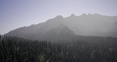 Majestic Mountain Landscape with Dense Forest Under Clear Sky