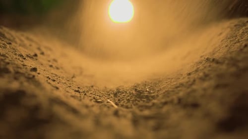 Ackerboden und Staub auf dem Boden erinnern an die Fragilität und Kostbarkeit unseres Planeten