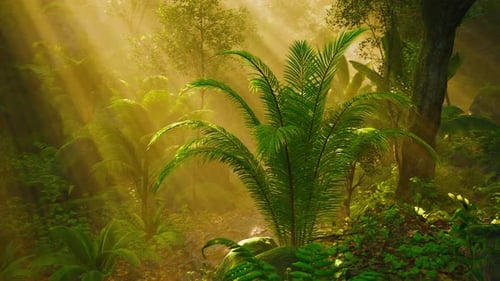 La lumière du soleil filtre à travers le feuillage dans une forêt tropicale luxuriante à l'aube