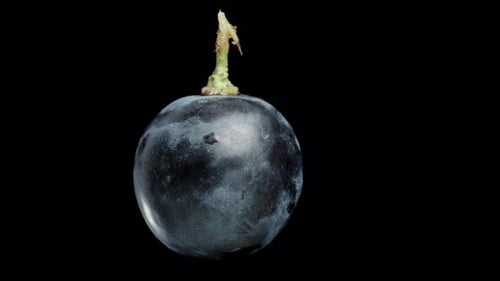 Delicious Grape Being Sliced Open on Black Background