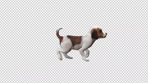 Fond transparent Puppy Walk 2