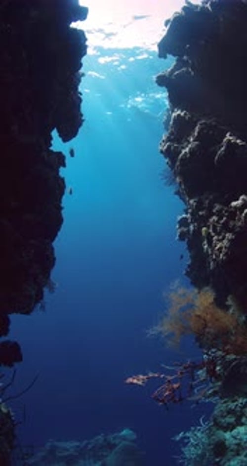 Underwater Aquatic Nature with Rocks and Corals in Blue Ocean in Menjangan Island