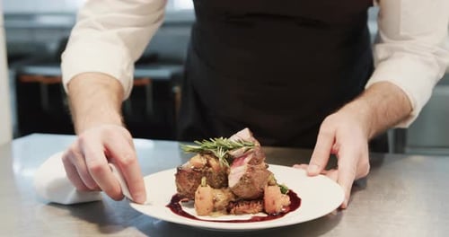 Chef plating delicious meat dish in restaurant kitchen