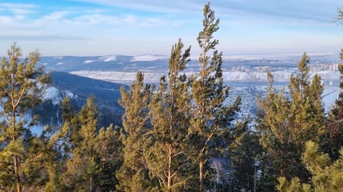 Evergreen Forest Blanketing Snowcovered Hillside with Urban Sprawl Stretching Below Bright Winter