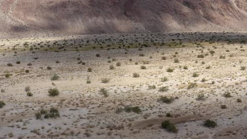 Views of Vegetation and clay rich soils in the Badlands, Aerial