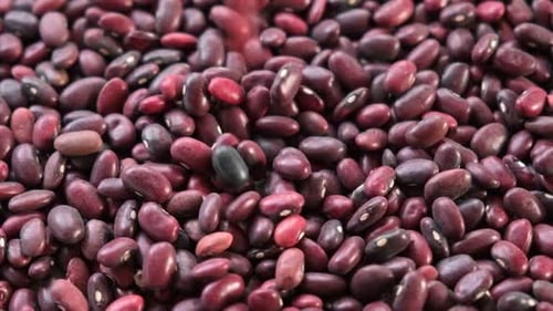 Falling Red Beans Close-Up Food Footage