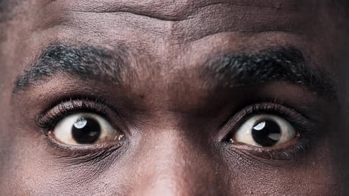 Extreme Close Up Of Man Eyes and Eyebrows