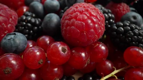 Close Up of Fresh Fruit: Berries