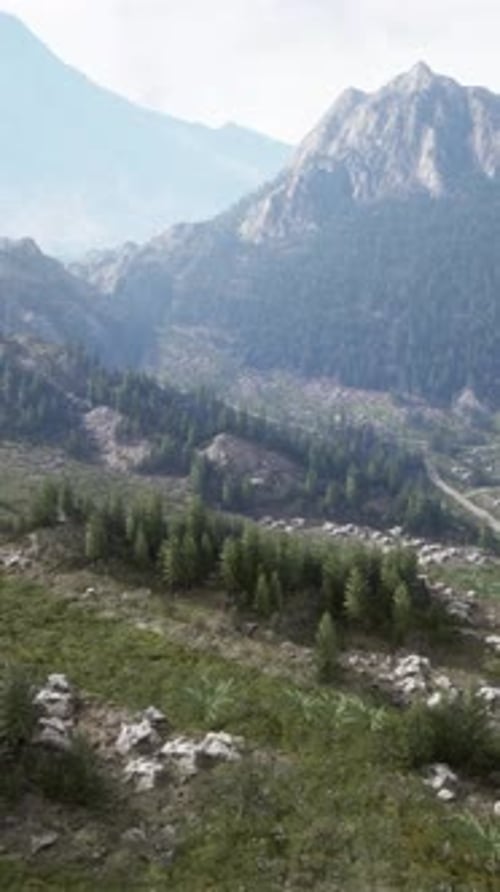 A Breathtaking Mountain Valley with Lush Trees From an Aerial Perspective