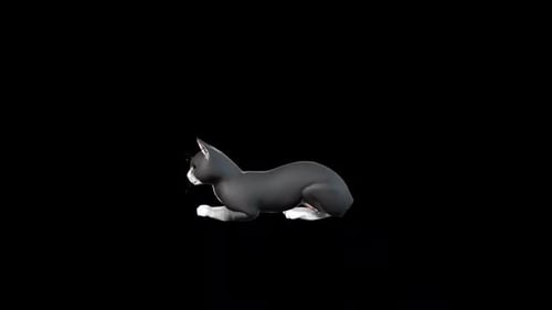 Schwarze Katze, sitzend, Seitenwinkel