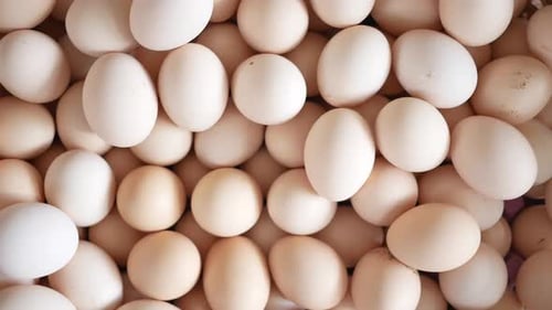 Close Up of Eggs in a Bowl